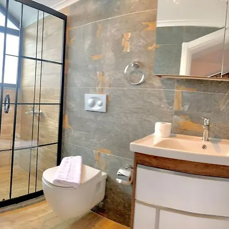Nokta Park I 4+1 Villa, Oezel Havuzlu 빌라